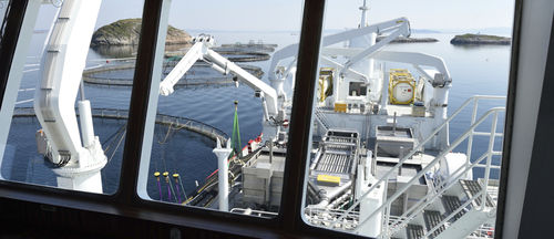 Buque de pesca profesional para transporte de pescado vivo - HAVTRANS - Havyard Group