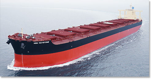 Buque de carga granelero - Imabari Shipbuilding Co., Ltd. - Capesize