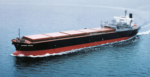 Buque de carga carbonero - Imabari Shipbuilding Co., Ltd.