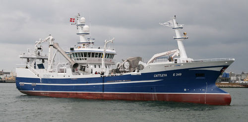 Buque de pesca profesional arrastrero - CATTLEYA - Karstensens Shipyard Ltd.