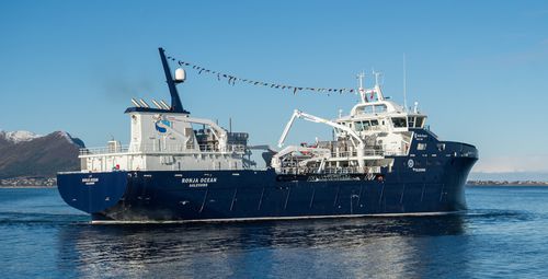 Buque de pesca arrastrero - RONJA OCEAN - Kleven Maritime AS - para transporte de pescado vivo