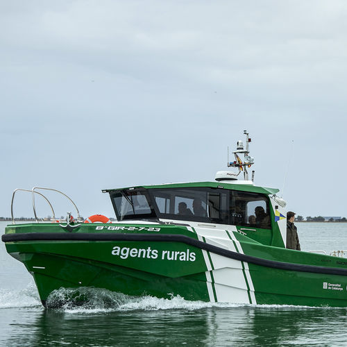 Barco profesional barco de vigilancia - Q35 Explorer - QUER PROFESSIONAL BOATS - barco de salvamento / barco de trabajo / embarcación piloto