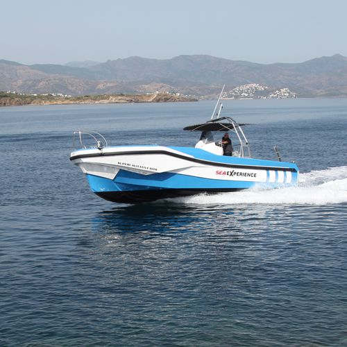 Barco profesional barco de vigilancia - 35 - QUER PROFESSIONAL BOATS - barco de pasajeros / barco utilitario / embarcación de apoyo al buceo