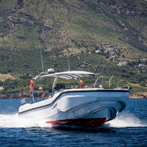 Barco profesional barco de pasajeros - 60 - QUER PROFESSIONAL BOATS - barco de transporte de tripulación / intraborda / diésel