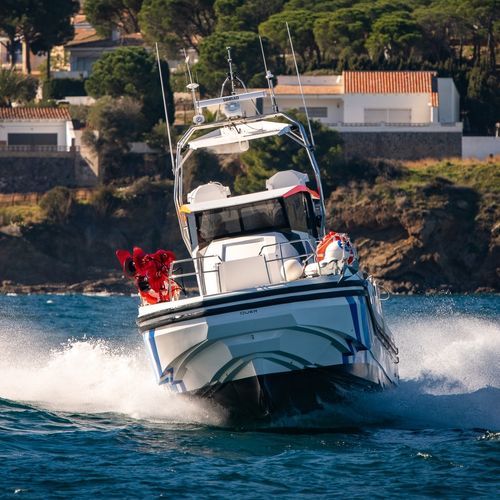 Barco profesional barco para investigación y estudios - Q80 Explorer - QUER PROFESSIONAL BOATS - intraborda / de material compuesto reforzado con fibra de vidrio / de carbono