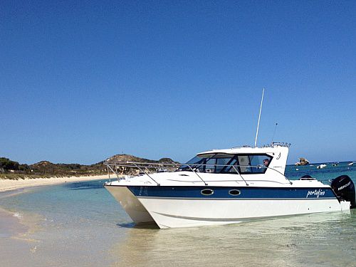 Barco cabinado catamarán - 32RS - ArrowCat Marine - fueraborda / de pesca deportiva