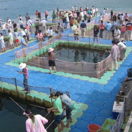 Pantalán flotante - OTTO - modular / de amarre / para la pesca