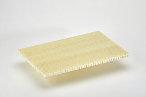 Panel sándwich para el acondicionamiento de buques - POLISTEP - Cel Components s.r.l.  - nido de abeja de polipropileno / de polipropileno / fibra de vidrio