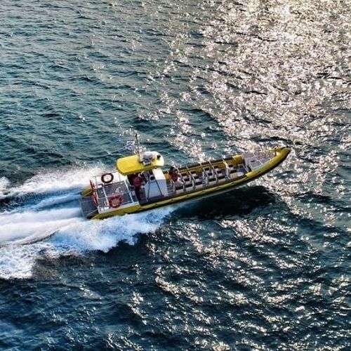 Barco profesional barco de vigilancia - 12.5M - Tornado Boats - barco de salvamento / barco turístico / barco utilitario