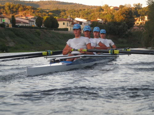 Bote de remo de regata - Wing Series - SALANI costruzioni nautiche S.n.c. - cuatro scull / sin timonel