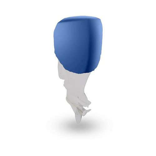 Funda protectora para barco a motor - COPRIMOTORE - Nettuno Marine Equipment - para embarcación neumática / de motor fueraborda