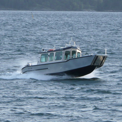 Barco profesional barco de desembarco - C800 WT  - MS Boat - fueraborda / de aluminio