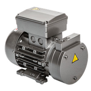 Bomba de vacío para buque - 3 S - Bgs General Srl - para astillero naval / eléctrica / 12 V