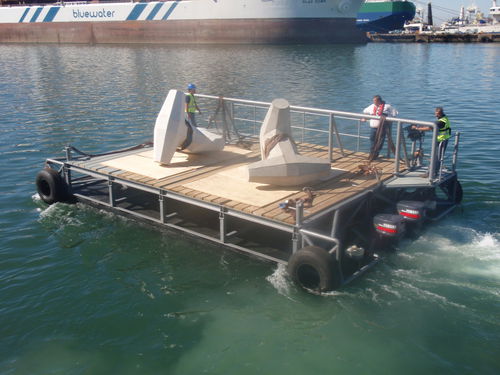 Barco profesional gabarra de trabajo - Tristan - Rhino Marine Products (Pty) Ltd - fueraborda