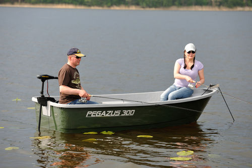 Bote fueraborda - PEGAZUS  300 Fisher  - Przedsiebiorstwo Uslug Specjalistycznych ''PEGAZUS'' 
