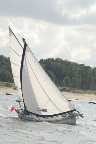 Velero de crucero - 800 - HABER YACHTS Sp. z o.o.  - con 5 literas / con cockpit cerrado / con bauprés