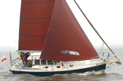 Velero de crucero - 800C4 - HABER YACHTS Sp. z o.o.  - con 5 literas / con cockpit cerrado / cutter