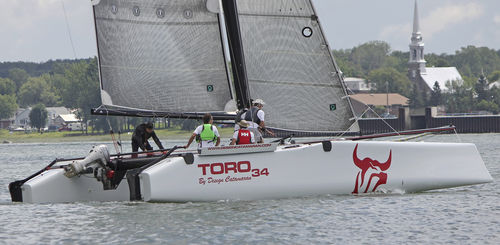 Catamarán - TORO 34S - Design Catamaran Inc - de regata y crucero / con 4 literas / remolcable
