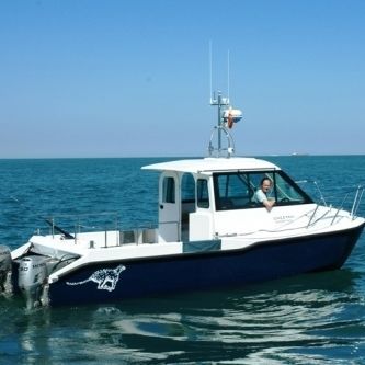 Day-cruiser catamarán - Boblin 2 - Cheetah Marine - fueraborda / bimotor / con caseta de timón
