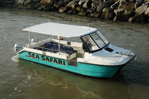 Barco profesional barco turístico - Free Spirit - Cheetah Marine - catamarán / fueraborda
