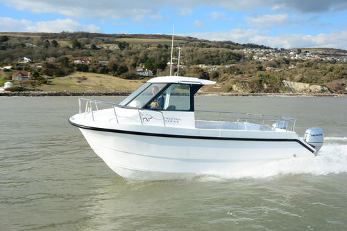 Barco de motor de pesca-paseo catamarán - Cheetah Marine - fueraborda / bimotor / con caseta de timón