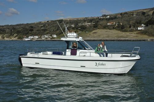 Walkaround catamarán - 3 Fishes - Cheetah Marine - fueraborda / bimotor / con consola central