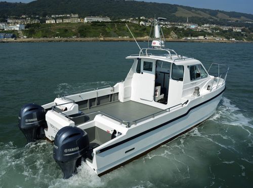 Barco de motor de pesca-paseo catamarán - Bon Vivant - Cheetah Marine - fueraborda / bimotor / con cockpit cerrado
