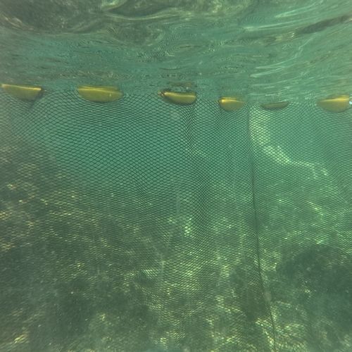 Barrera red - ZEUS Jellyfish - V2O Marine - antimedusas / flotante / modular
