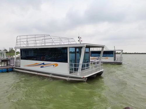 Barco casa catamarán - Changzhou Youbang Boat Co., Ltd. - fueraborda / eléctrico / de GLP