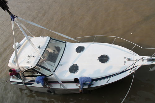 Barco profesional barco de pesca profesional - YB-315 - Changzhou Youbang Boat Co., Ltd. - stern-drive / de fibra de vidrio