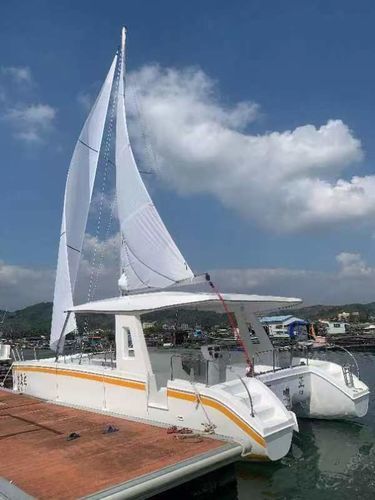 Barco profesional barco turístico - Changzhou Youbang Boat Co., Ltd. - catamarán / fueraborda