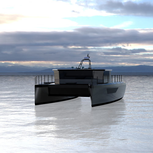 Barco cabinado catamarán - 38 - Etkin Marin - intraborda / bimotor / con hard-top