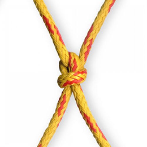 Cabo para red de pesca - Redline Pro Gold - COTESI Companhia de Têxteis Sintéticos S.A  - simple trenzada / para barco de pesca profesional / alma de polietileno