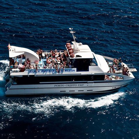 Barco profesional barco turístico - Porto Cristo - Drassanes Dalmau, S.A - catamarán / intraborda