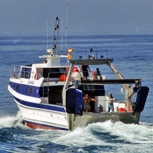 Barco profesional arrastrero - ES NIELL - Drassanes Dalmau, S.A - intraborda