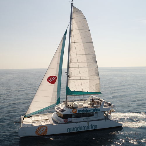 Barco profesional barco de pasajeros - MUNDO MARINO ECO - Drassanes Dalmau, S.A - catamarán / híbrido diésel-eléctrico / para personas con movilidad reducida