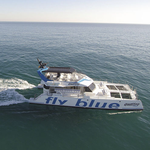 Barco profesional barco turístico - FLY BLUE QUATTRO - Drassanes Dalmau, S.A - catamarán / intraborda