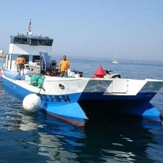 Barco profesional barco de trabajo - SEMAC 25 - Drassanes Dalmau, S.A - embarcación de servicio portuario / catamarán / intraborda