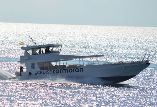 Barco profesional barco de pasajeros - CARPE DIEM UNO - Drassanes Dalmau, S.A