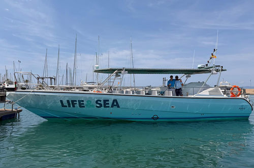 Barco profesional barco de pasajeros - POPEYE LIFEANDSEA - Drassanes Dalmau, S.A - intraborda / de composite