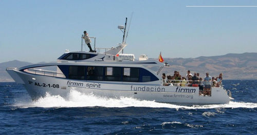 Barco profesional barco turístico - FIRMM SPIRIT  - Drassanes Dalmau, S.A - intraborda