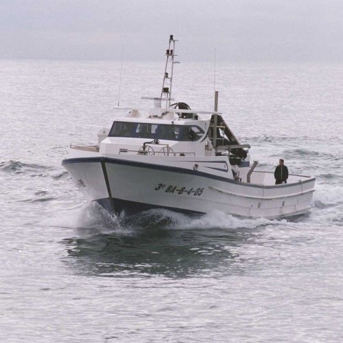 Barco profesional barco sardinero - HERMANOS CERVILLA - Drassanes Dalmau, S.A - intraborda