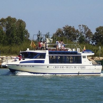 Barco profesional barco turístico - RIBERA D'EBRE  - Drassanes Dalmau, S.A - intraborda