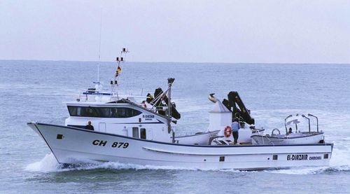 Buque de pesca profesional atunero cerquero - EL DJAZAIR  - Drassanes Dalmau, S.A