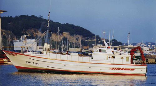 Barco profesional barco sardinero - MOLINA - Drassanes Dalmau, S.A - intraborda