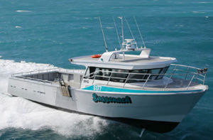 Barco profesional barco de pesca profesional - Gold Coast Ships Australia - de aluminio