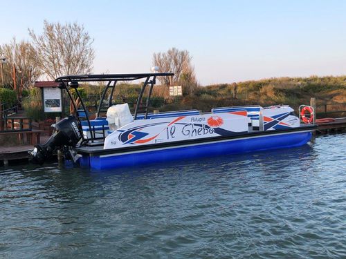 Barco profesional barco de vigilancia - Starlounger 10.0 - Swiss-Boats AG - barco de trabajo / barco turístico / barco taxi