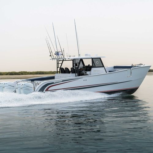 Barco cabinado catamarán - SilverCat 40CC​ - SMART OWN - fueraborda / cuatrimotor / con hard-top