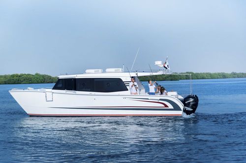 Barco cabinado catamarán - SilverCat 40LUX​ - SMART OWN - fueraborda / bimotor / con hard-top