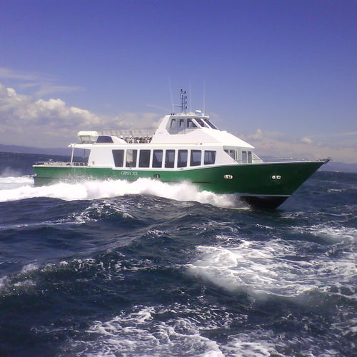 Barco profesional barco de pasajeros - GIPSY XX - MARTINEZ CONSTRUCTIONS NAVALES - intraborda / diésel / de poliéster